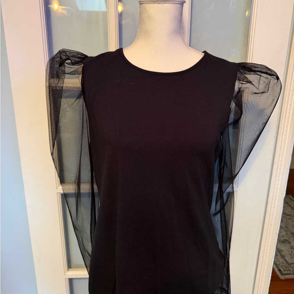 Express Black Top with Mesh Sleeves